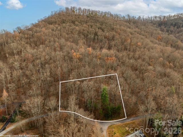 75 S Lindon Cove Road, Candler, NC 28715