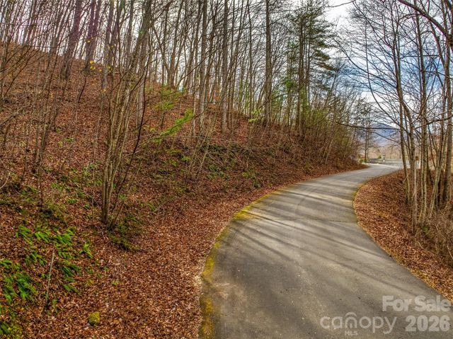75 S Lindon Cove Road, Candler, NC 28715