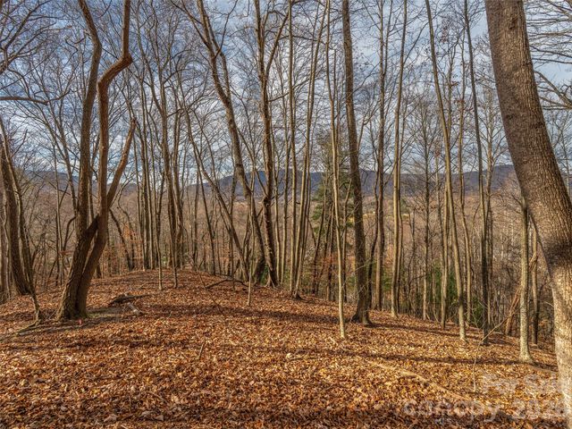 75 S Lindon Cove Road, Candler, NC 28715