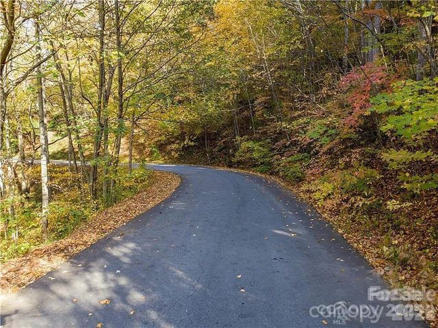 75 S Lindon Cove Road, Candler, NC 28715