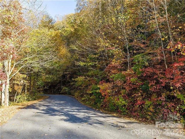 75 S Lindon Cove Road, Candler, NC 28715