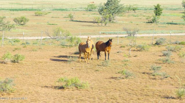 7910 County Rd 7700, Wolfforth, TX 79382