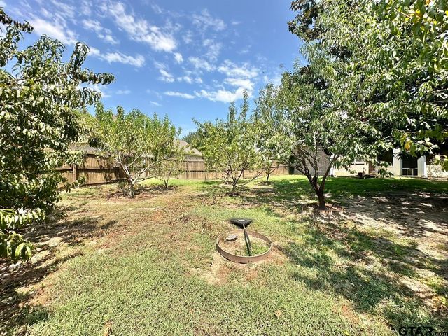 19390 Sandhill Lane, Flint, TX 75762