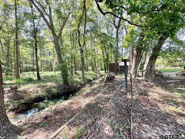 19390 Sandhill Lane, Flint, TX 75762