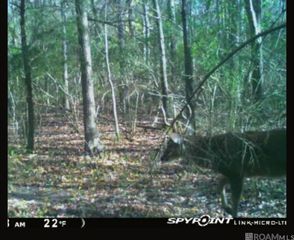 5903 Line Rd, Ethel, LA 70730