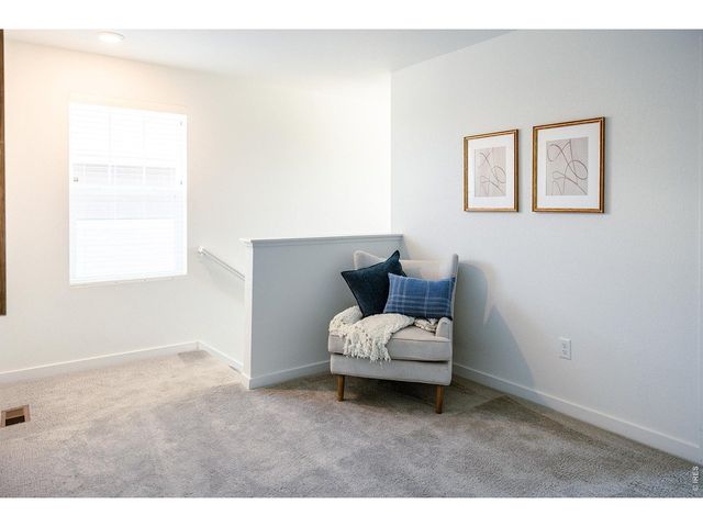 2608 Painted Turtle Ave, Loveland, CO 80538