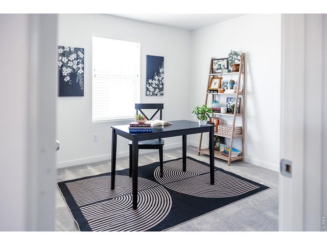 2608 Painted Turtle Ave, Loveland, CO 80538