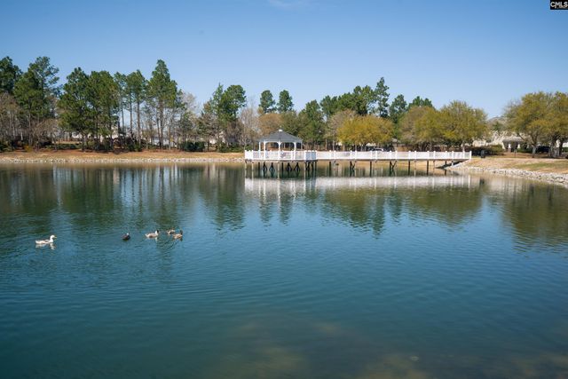 665 Blue Ledge Circle, Lexington, SC 29072