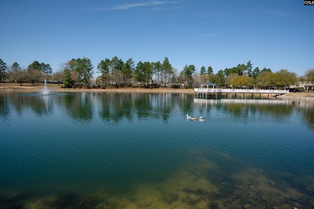 665 Blue Ledge Circle, Lexington, SC 29072