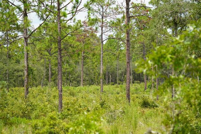 SE STATE ROAD 121 LOT D, Morriston, FL 32668