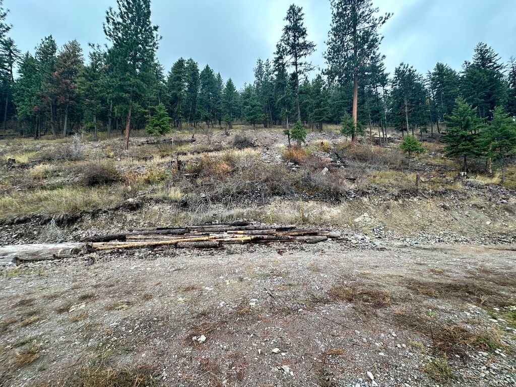 Image 40 of property listing at NKA Anderson Road, Superior, MT 59872