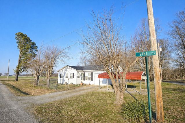 700 Vine Street, Pulaski, IL 62976