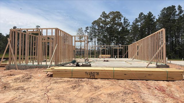24766 Zinnia Blossom Drive, Montgomery, TX 77316