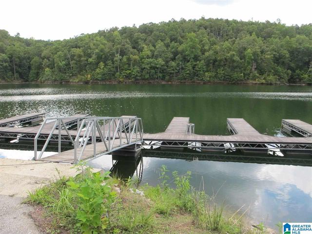 210 OVERLOOK WAY, Wedowee, AL 36278