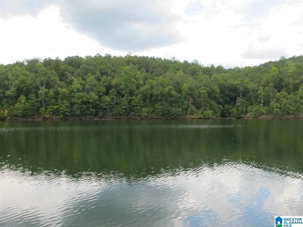 210 OVERLOOK WAY, Wedowee, AL 36278