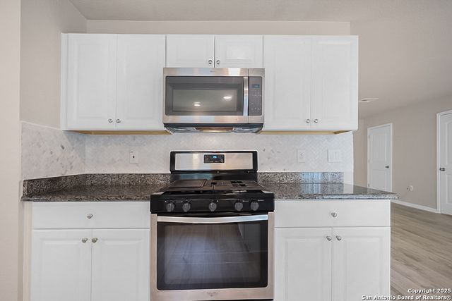 10218 Relic Oaks, San Antonio, TX 78240