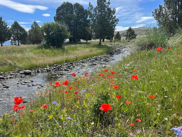 27847 Pine Creek Road, John Day, OR 97845