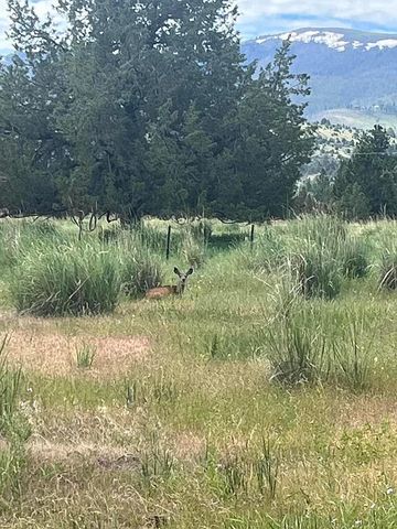 27847 Pine Creek Road, John Day, OR 97845