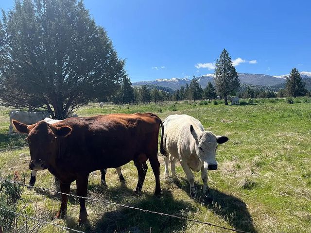 27847 Pine Creek Road, John Day, OR 97845