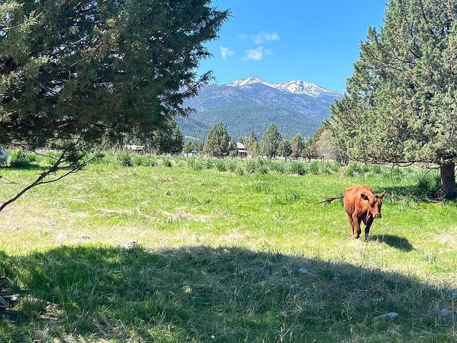 27847 Pine Creek Road, John Day, OR 97845