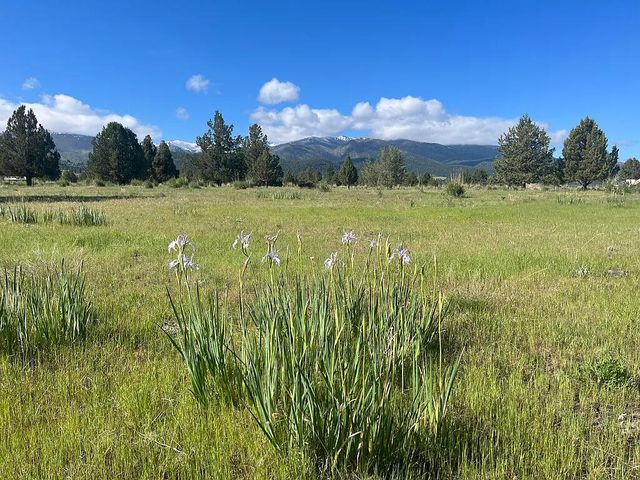 27847 Pine Creek Road, John Day, OR 97845