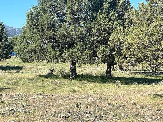 27847 Pine Creek Road, John Day, OR 97845