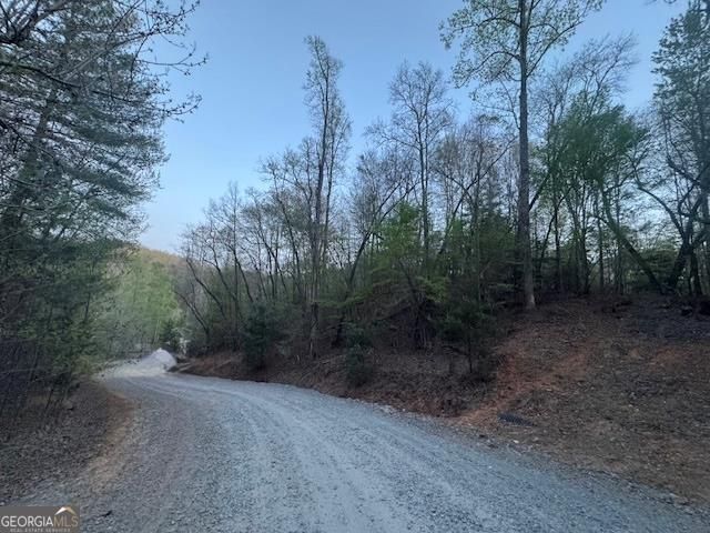 LOT 5 Riverbend Manor, Blue Ridge, GA 30513