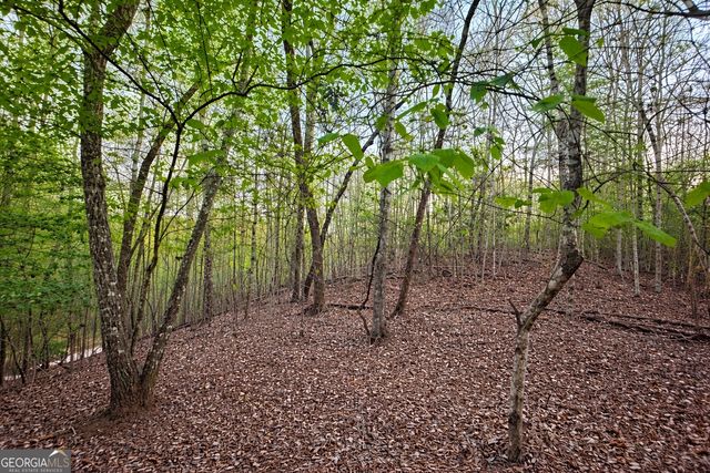 LOT 5 Riverbend Manor, Blue Ridge, GA 30513
