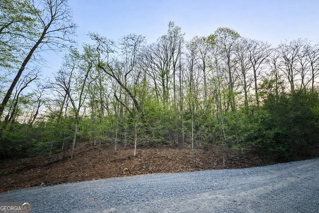 LOT 5 Riverbend Manor, Blue Ridge, GA 30513