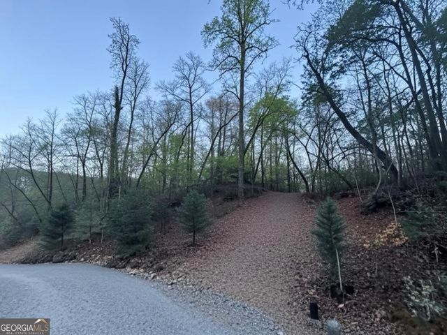 LOT 5 Riverbend Manor, Blue Ridge, GA 30513