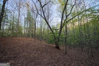 LOT 5 Riverbend Manor, Blue Ridge, GA 30513
