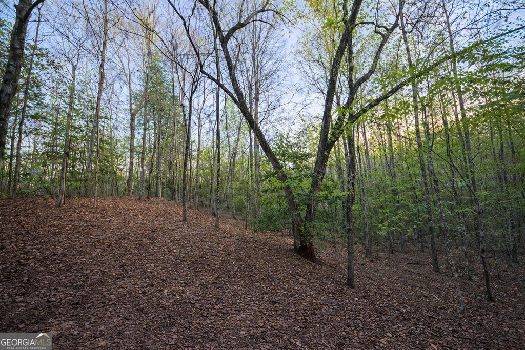 LOT 5 Riverbend Manor, Blue Ridge, GA 30513