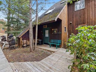 57 Brainard Ridge 3-E, Windham, NY 12496