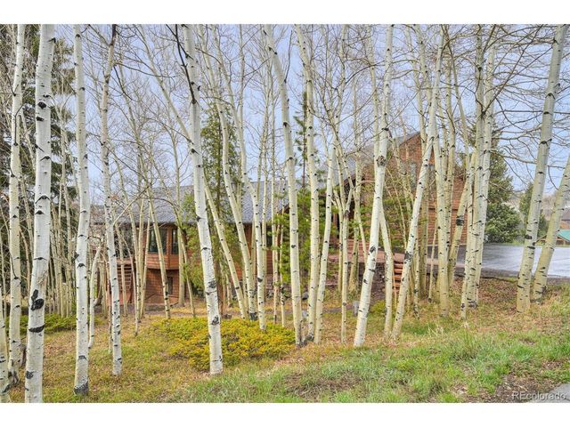 324 W Buffalo St, Dillon, CO 80435
