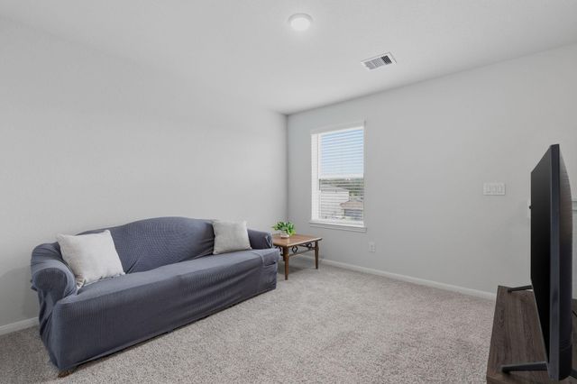 8320 Bristlecone Pine Way, Magnolia, TX 77354