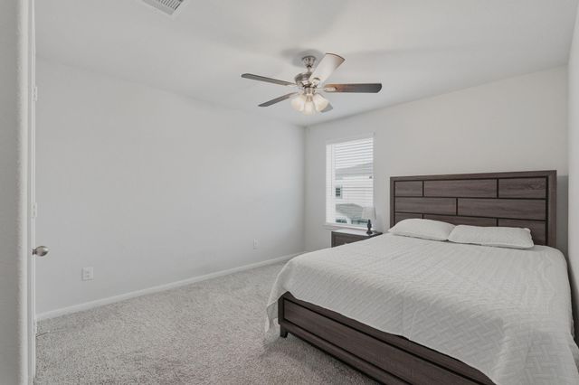 8320 Bristlecone Pine Way, Magnolia, TX 77354