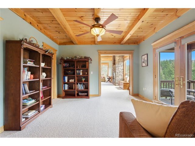9659 S Turkey Creek Rd, Morrison, CO 80465