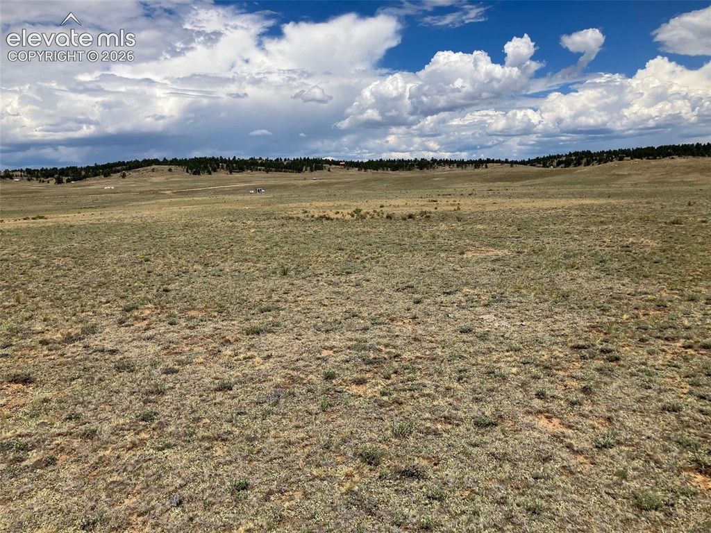 389 Chipita Trail, Hartsel, CO 80449 — photo 4