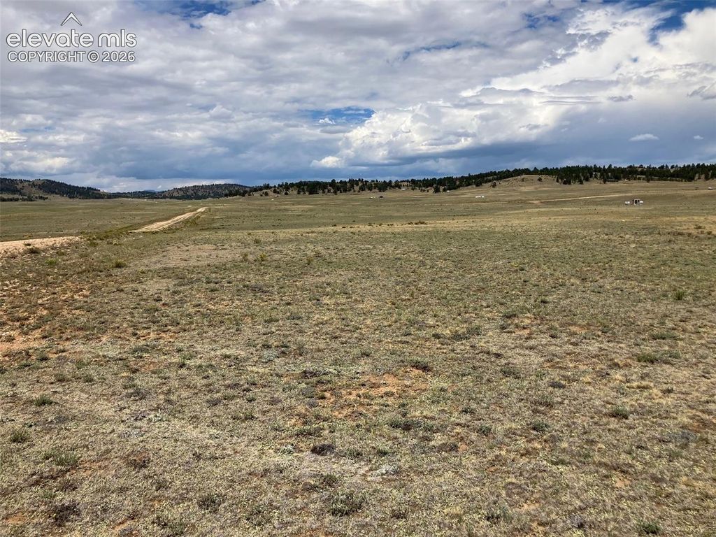 389 Chipita Trail, Hartsel, CO 80449 — photo 5