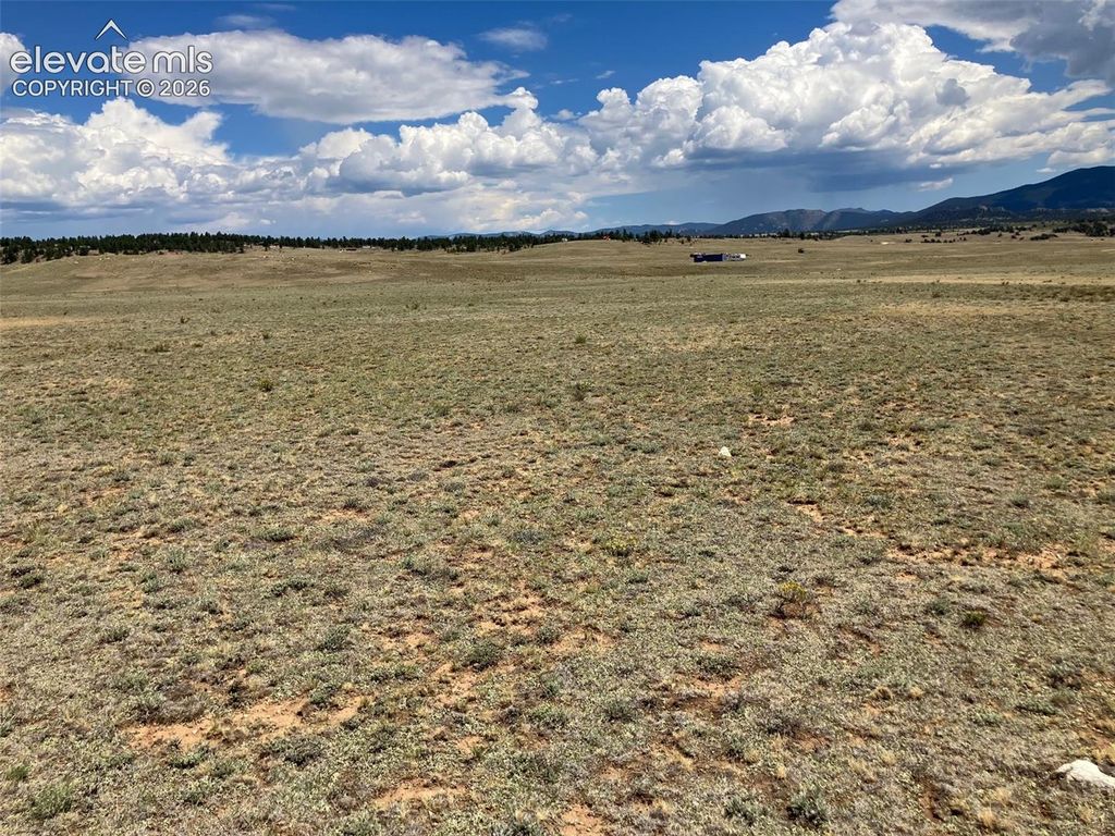 389 Chipita Trail, Hartsel, CO 80449 — photo 3
