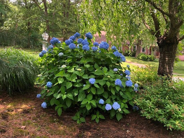 57 Brierbrook St, Milton, MA 02186