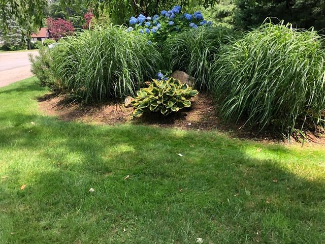 57 Brierbrook St, Milton, MA 02186