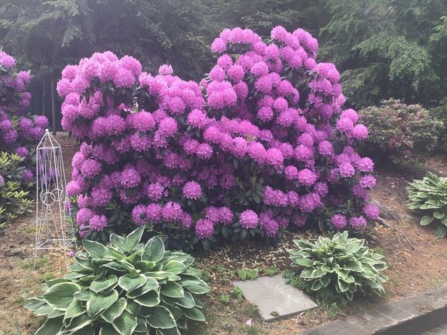 57 Brierbrook St, Milton, MA 02186