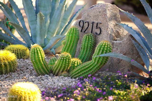 9215 E LAZYWOOD Place, Carefree, AZ 85377