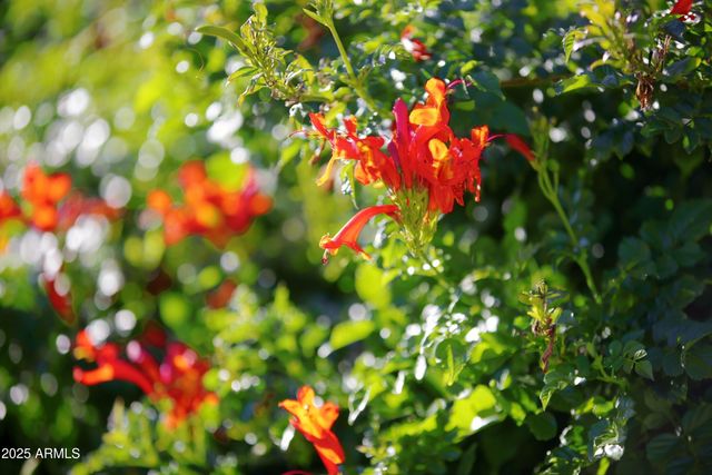 9215 E LAZYWOOD Place, Carefree, AZ 85377