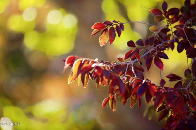 9215 E LAZYWOOD Place, Carefree, AZ 85377