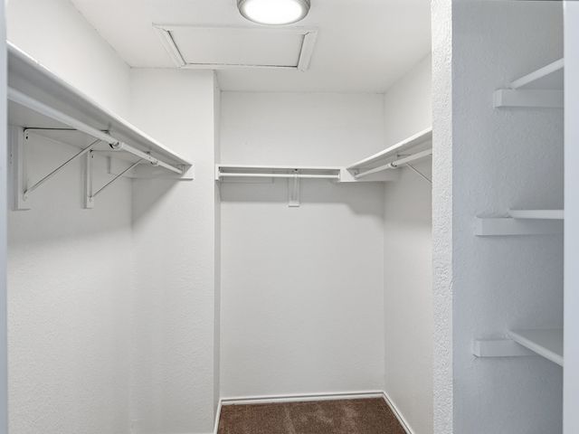 12214 Peachtree Lane, Frisco, TX 75035