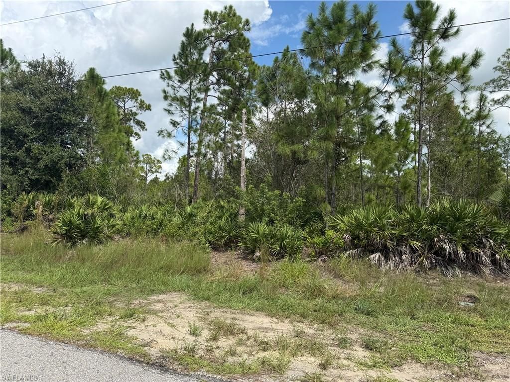 1012 Truman AVE, LEHIGH ACRES, FL 33972 — exterior