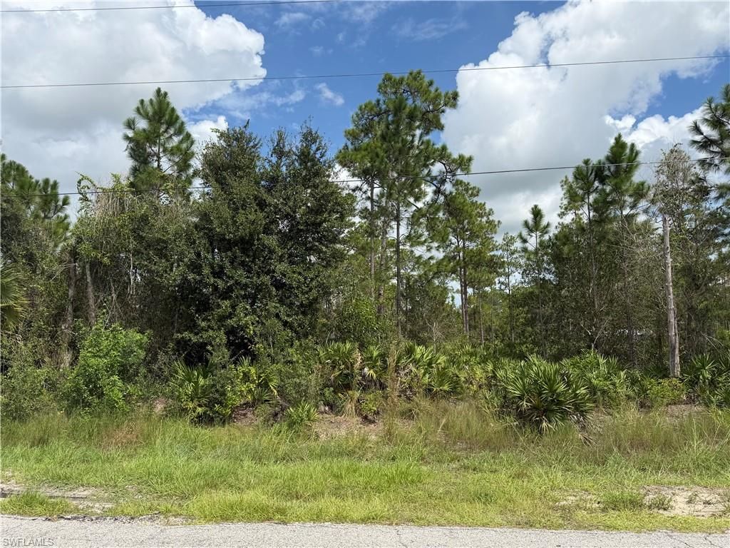 1012 Truman AVE, LEHIGH ACRES, FL 33972 — photo 2