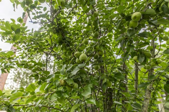 913 7th Avenue, Albany, GA 31701